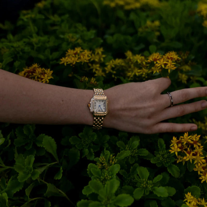 Софистицирани луксуз® Цалиста